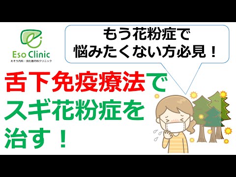 【もう花粉症で悩みたくない方必見！】スギ花粉症に対する舌下免疫療法(アレルゲン免疫療法)について詳しく解説します！