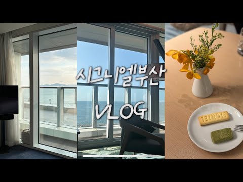 [4K]202408|시그니엘 부산 1박 2일 브이로그|조식과 라운지