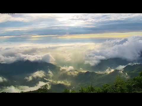 阿里山即時影像-二延平步道-縮時 | Eryanping Trail Timelapse in Alishan, Taiwan