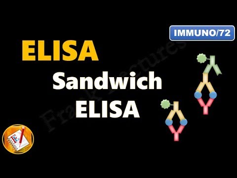 Sandwich ELISA  (FL-Immuno/72)