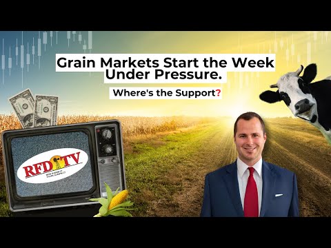 Grain Markets Start the Week Under Pressure.  Where's the Support?