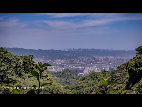 土城桐花公園/天上山#台灣旅遊紀錄 #幸福彩繪攝影企劃 #手機攝影教學 #預約教學 #人像拍攝