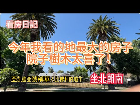 看房日記: 今年我看的地最大的房子, 院子樹木太喜了！亞凯迪亚 City of Arcadia 號稱華人比佛利的城市! The big lot open house I've seen!