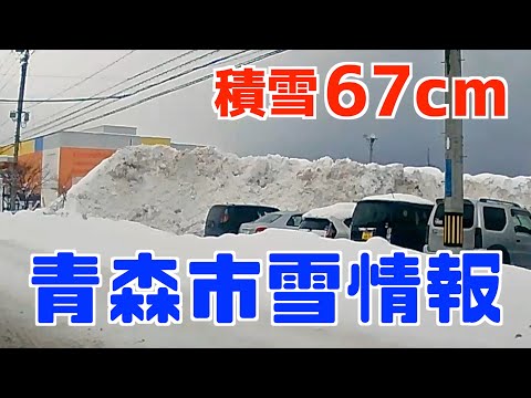 【雪】現在67cm。これぐらい、まだまだ。これから先、何cm降るのか楽しみだなぁ〜😭