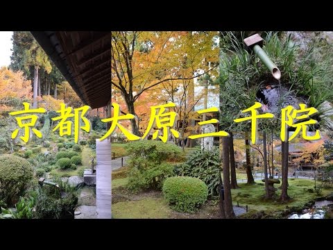 【Kansai Outing Spot】Kyoto Ohara Sanzen autumn leaves image