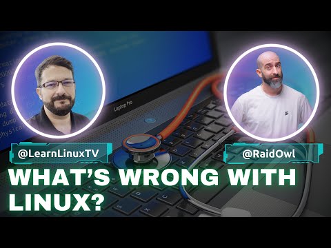 The Problems with Linux No One Talks About (Featuring @RaidOwl)