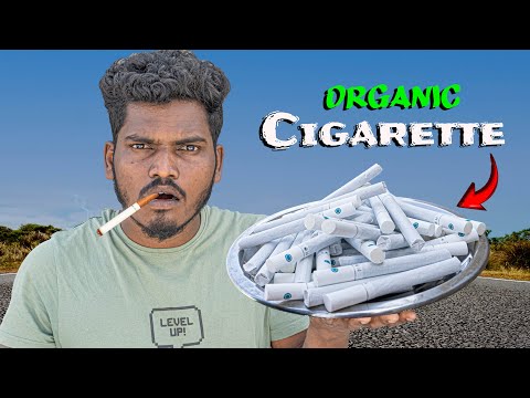 இந்த சிகரெட் உடலுக்கு நல்லதா …? Testing Organic Cigarette #mrsuncity #badcouples