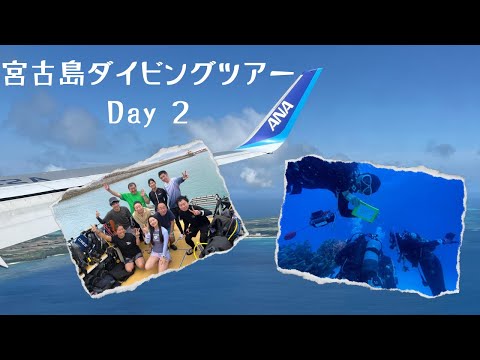 KANATA Diving project　宮古島ダイビングツアー動画②