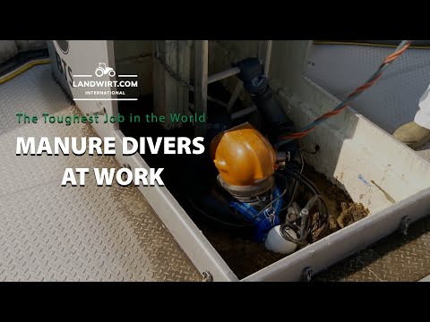 The Toughest Job in the World - Manure Divers at Work | Landwirt.com International