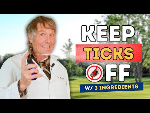 Keep Ticks Off: New Tick-Spray Recipe for Dogs!