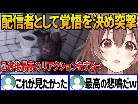 ホラゲーが苦手で超ビビりなころさんが絶叫ポイントに配信者として逃げずに突撃して撮れ高抜群の最高のリアクションをする【 戌神ころね ホロライブ切り抜き/DON'T SCREAM】