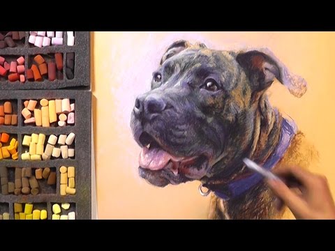 Titus: Pet Portrait Painting with Pastels