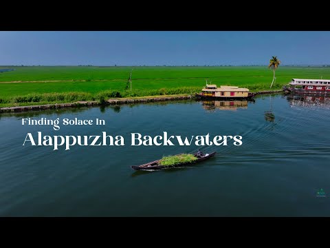 Meandering Along the Tranquil Backwaters of Alappuzha