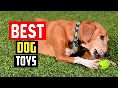 ✅Top 5 Best Eco Friendly Dog Toys To Help You Reduce Your Carbon Paw Print in 2024