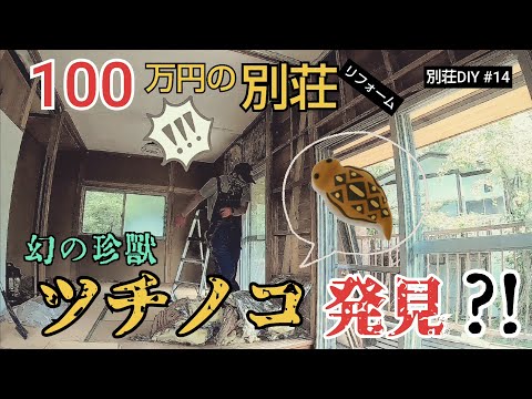 【別荘DIY #14】今度は幻の珍獣ツチノコか！？／貯めた小遣い100万円で築41年190坪土地付き別荘買った！