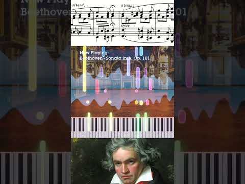 #Beethoven's wistful opening in the A major Sonata Op. 101 #piano #classicalmusic  #classicalpiano