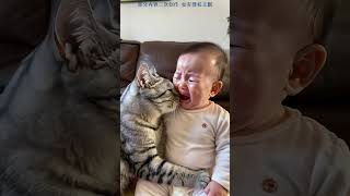 看到小宝宝在哭泣我家的猫猫一直在一安慰真是一只暖心的小猫咪呢。#被你萌化了