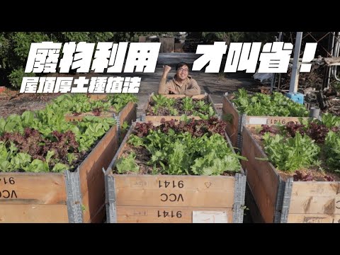 10年經驗分享：打造環保高效蔬菜箱，開啟永續農業新紀元！