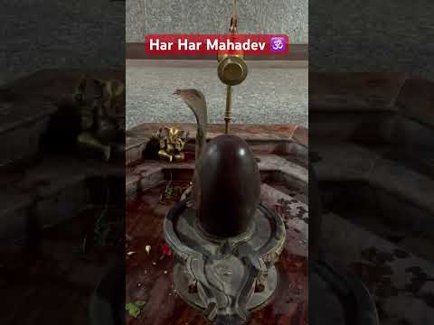 Mahadev ji 🙏 hara har Mahadev 🕉️#shorts #mahadev #mahakal #bhajan #hindugod #song