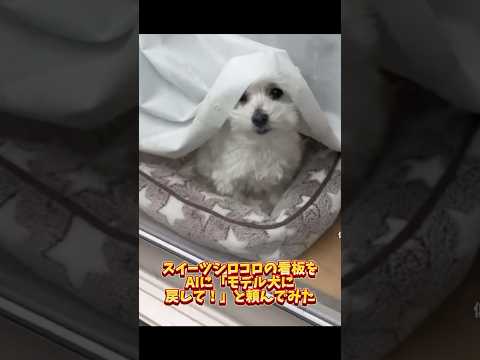 スイーツシロコロの看板をAIに「モデル犬に戻して！」と頼んでみた