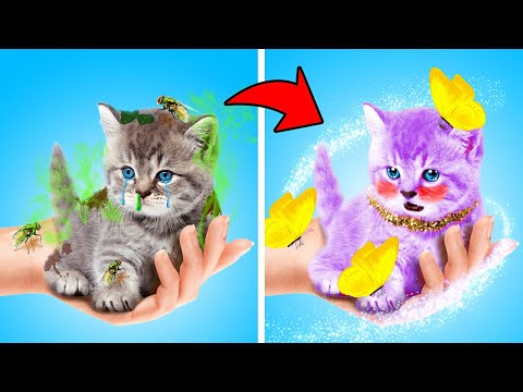 I Saved Poor Homeless Kitten! Useful Hacks for Pet Owners