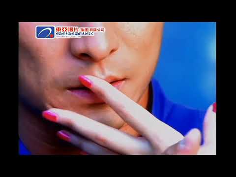 [ KTV ] 假装 Giả Vờ - 刘德华 Lưu Đức Hoa Karaoke