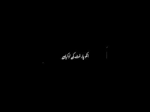 Char fit ki ladkiyan 🥺#poetry #trending #blackscreenstatus #shorts #shortsfeed #islamicshorts #short