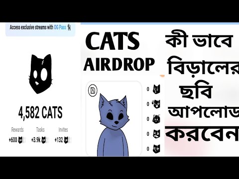 Cats airdrop কি ভাবে বিড়ালের ছবি আপলোড করবেন ll Cats airdrop New update l Cats airdrop listing soon