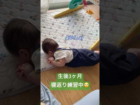 寝返り練習中 #shorts #ベイビー #baby #赤ちゃん #生後3ヶ月 #寝返り