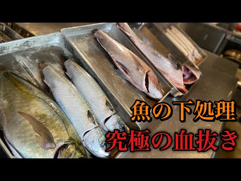 熟成させるための魚の下処理【究極の血抜き】#和食#尾張町侑#津本式