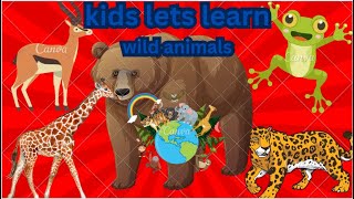 Wild Animal Adventures: Discovering Nature's Wonders with Kids | Educational Wildlife Exploration