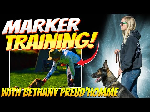 Marker Training With Expert Dog Trainer Bethany Preud'homme