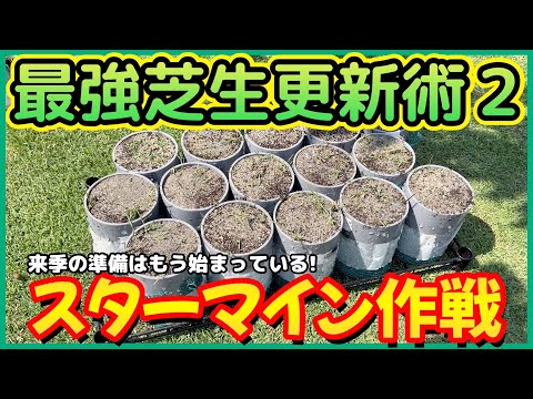 【進化版】失敗しない芝生の最強張り替え法がさらにカンタンになりました。