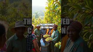 Empowering Communities: The Coffee Cooperative Story