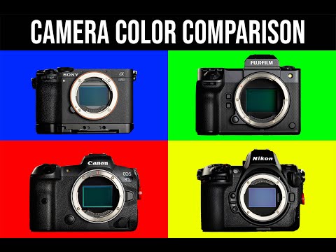 Camera color comparison between Canon vs Fuji vs Sony vs Nikon? Decide for yourself.