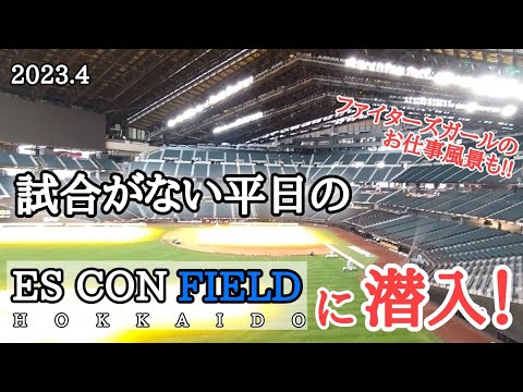 【エスコン】試合がない日も楽しめる！ファイターズガール滝谷美夢さんの神対応も🥰