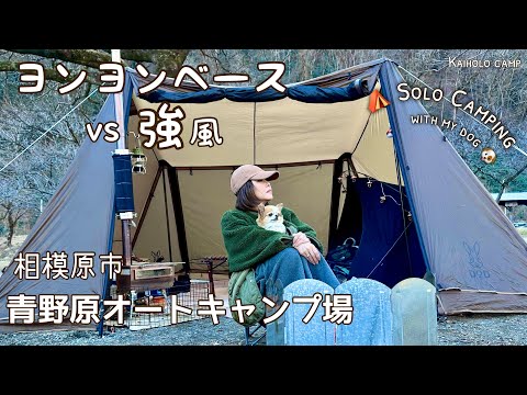 【50代女子ソロキャンプ】-1℃ 強風でテントが破ける！青野原オートキャンプ場｜Solo camping with my dog. Vlog［17］