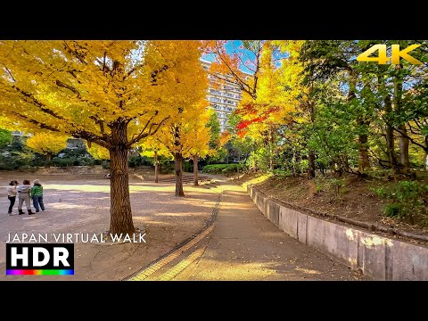 Autumn in Japan - Tokyo Hikarigaoka walk • 4K HDR