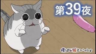 アニメ『夜は猫といっしょ』第39夜「新しいネコじゃらし」