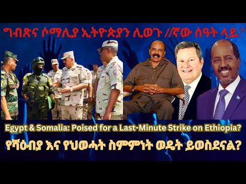 ግብጽና ሶማሊያ ኢትዮጵያን ሊወጉ 11ኛው ሰዓት ላይ? #TigraiPress #Ethiopia #TigrayWar #Eritrea #Somalia #RedSea #HOA