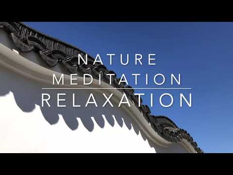 Nature Meditation Relaxation // Able ARTS Work