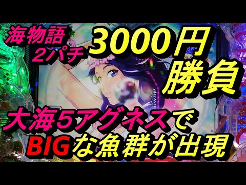 海物語2パチ3000円勝負【大海５アグネス】で久々の勝利はBIGプレミアのおまけ付き！