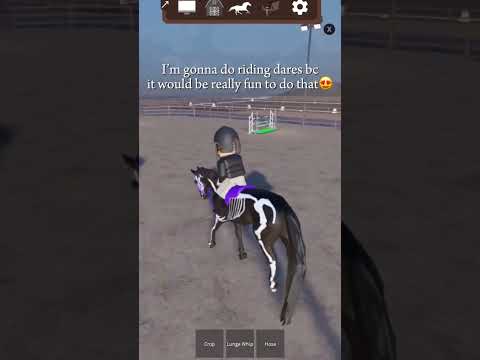 I’ll do anything on Roblox ( horse games)