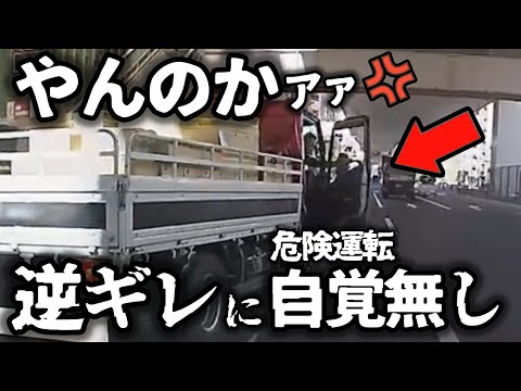 【ドラレコ】鳴り響く怒声　逆ギレトラック・危険運転自覚なし／マック入らんと国道塞ぐ高齢者／（痛）危険チャリにおばちゃん転倒の瞬間