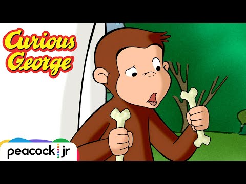 George Has a Bone to Pick! | CURIOUS GEORGE