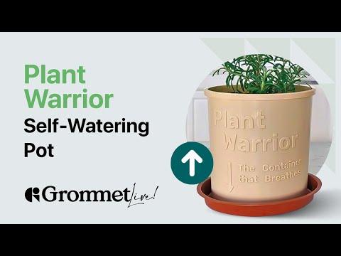 This Self Watering Pot From Plant Warrior Is Exactly What Every Plant Lover Needs For Their Home