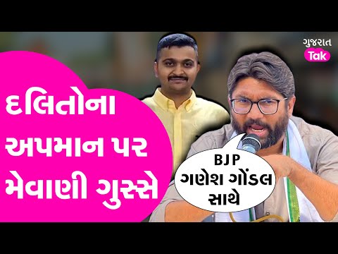 Ganesh Gondal ને લઈ શું કહ્યું જીજ્ઞેશ મેવાણીએ ? #jigneshmevani #ganeshgondal #dalitsamaj