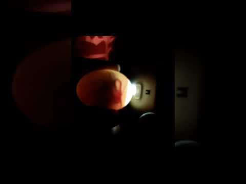 CANDLING CHICKEN EGGS DAY 15 #Viral #Shorts