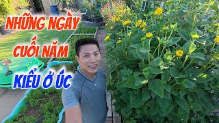 Cuốc sống Úc những ngày cuối năm, không nhốn nháo, bận rộn, chỉ bình yên  chào đón năm mới