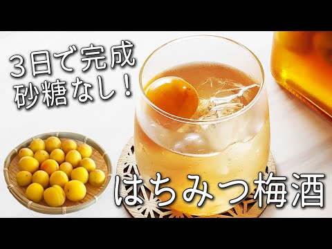 ３日でできる！【梅酒 の 作り方】 失敗しない  はちみつ 梅 酒【人気 ！ 梅仕事】完熟梅 レシピ 蜂蜜梅酒 砂糖不使用